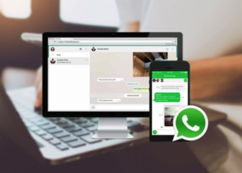 How to backup whatsapp business chats to PC