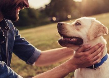 Improving Your Dog’s Health