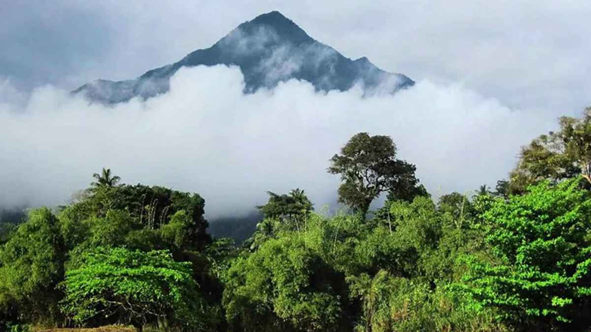 Mount Cameroon