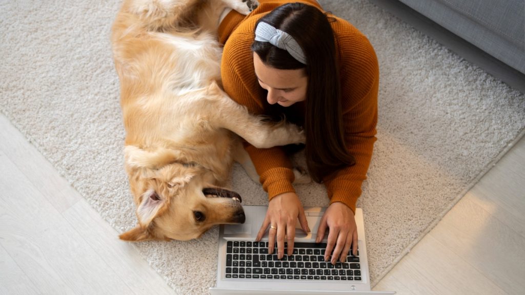 4 Online Games to Play With Pets