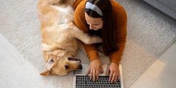4 Online Games to Play With Pets