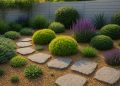 Modern low-maintenance garden with drought-tolerant plants, gravel paths, and easy-care landscaping